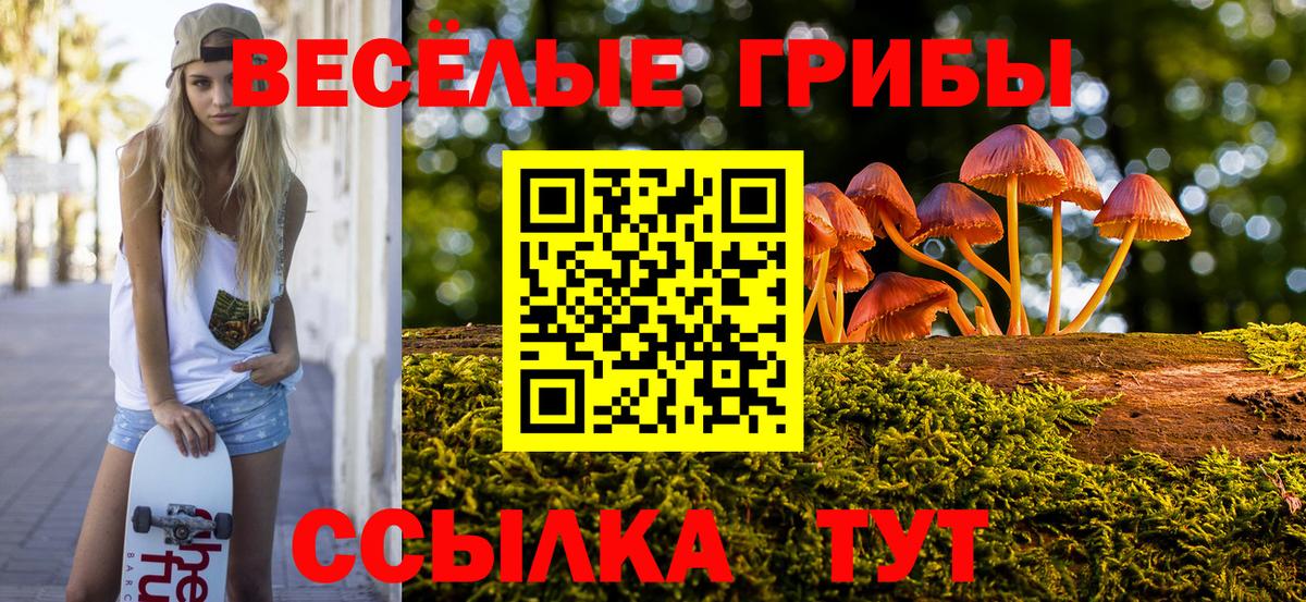 Галлюциногенные грибы прущие грибы  Вход с VPN  Глазов 